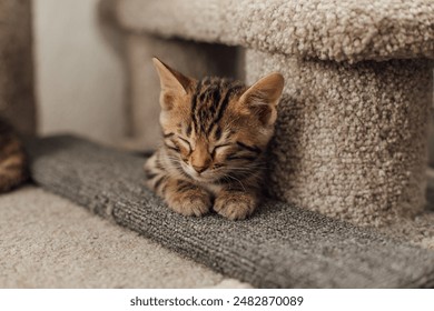 女生和男生搞基视频 女生和男生搞基视频